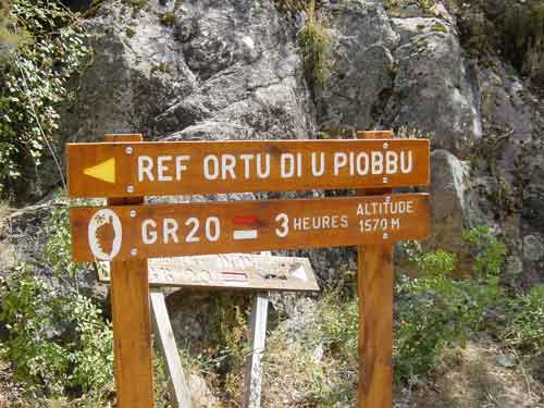 carnets de voyage corse - randonne dans la fort de bonifato