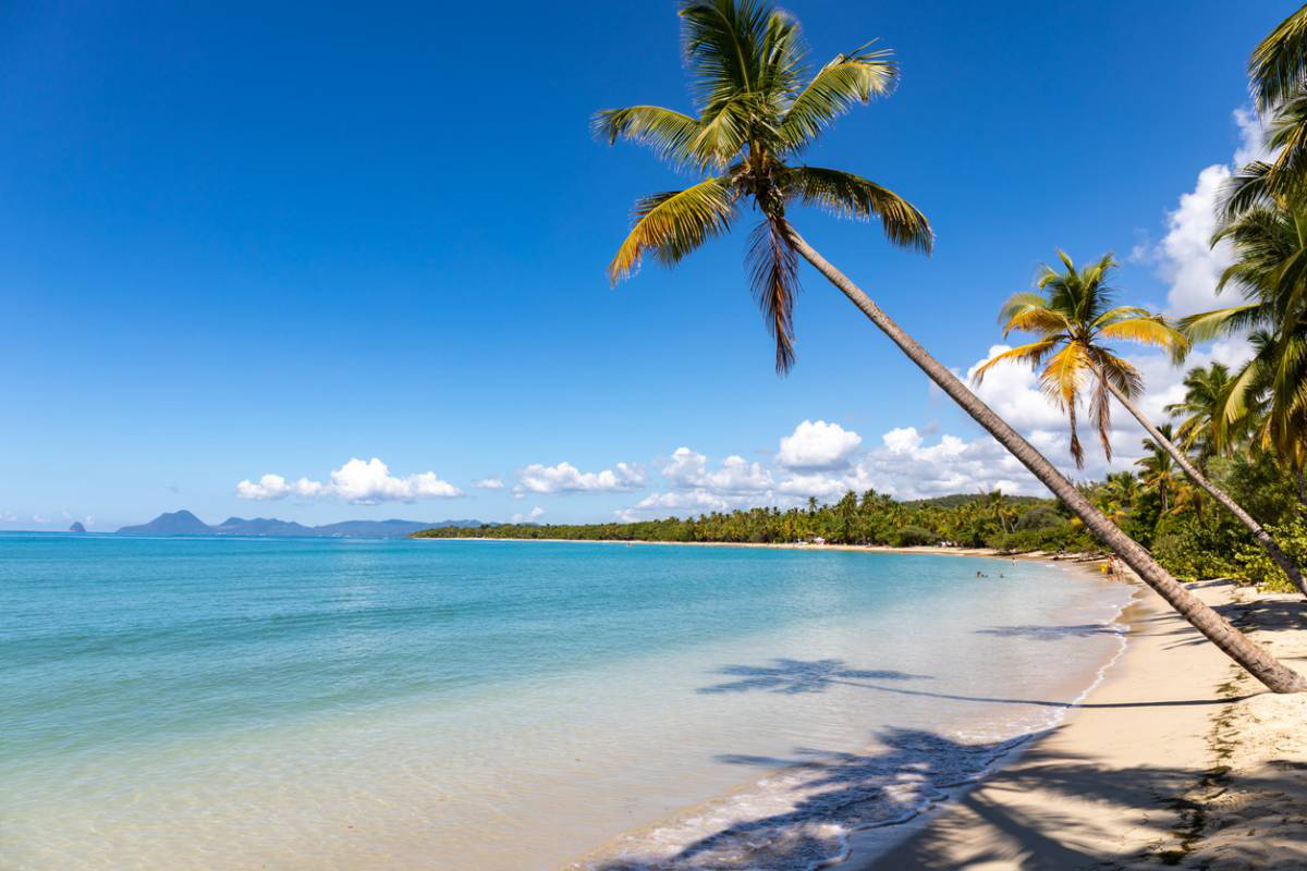 carnets et photos de voyage La Martinique : conseils exploration et détente